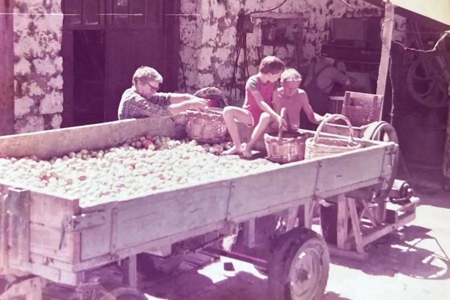 Cosecha de manzanas en carreta