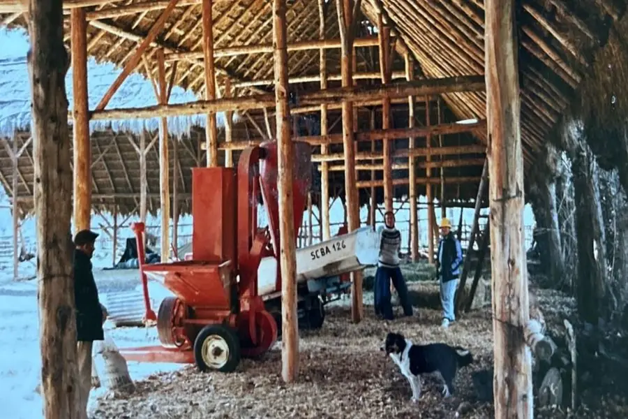 Trabajo en el campo, Paso Flores