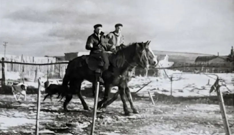 Islas Malvinas, circa 1954