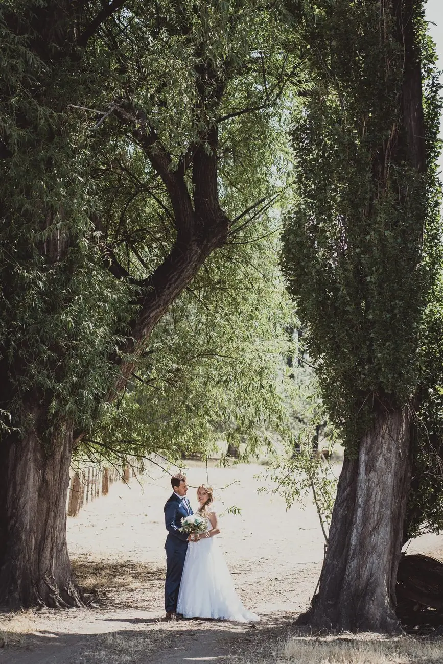 Novios entre los árboles