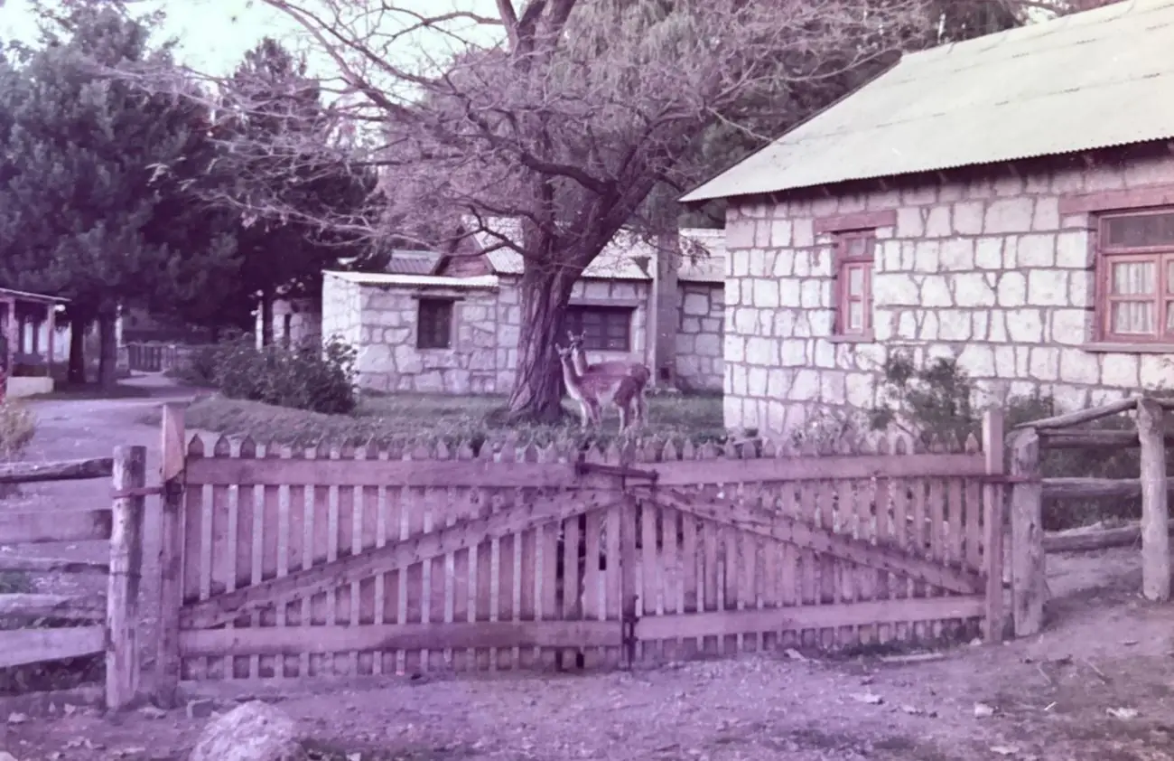 Paso Flores, circa 1960