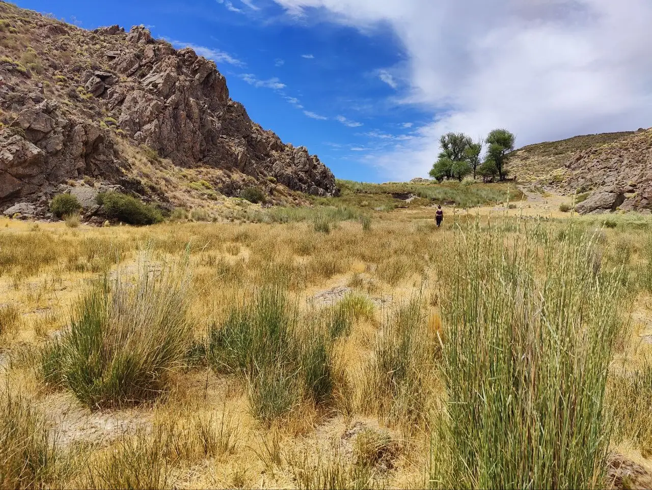 Sendero en el cañadón