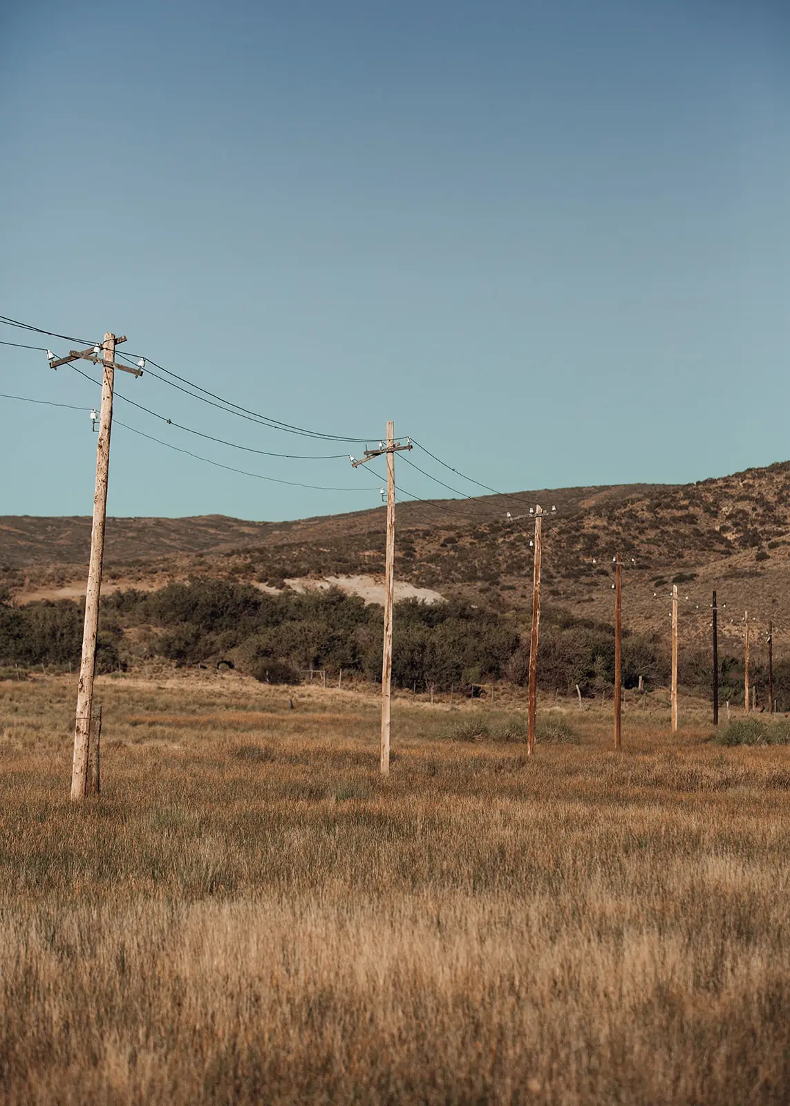 Postes de luz en la estepa