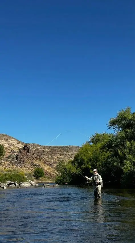 Lance de mosca en el Río Pichileufu