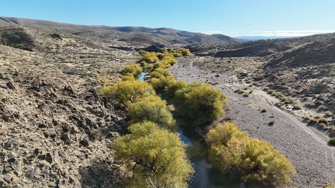 Río Pichileufu con vegetación de otoño